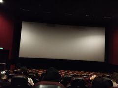 -AMG海上明珠影城(上海环球港RealDCinema店)