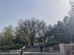 -玲珑塔公园