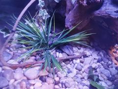 -上海海洋水族馆