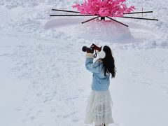 -叠溪松坪沟景区