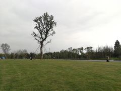 -长田漾湿地公园