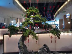 -马家斑.鲜鱼火锅(松湖万科店)