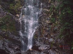 -鼎湖山风景区