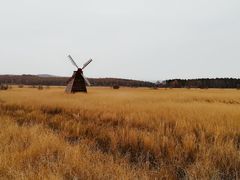 -御道口草原森林风景区
