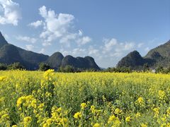 -万峰林风景区