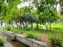 -洛阳市隋唐城遗址植物园