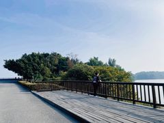 -大湾区中央湿地公园