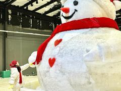 -宁波冰雪大世界(北仑区)