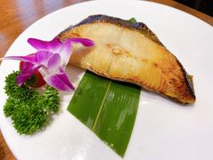 鳕鱼西京烧-九井澤精致料理(金茂店)