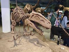 -自贡恐龙博物馆