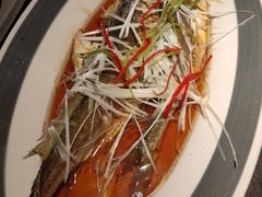-前海沿·青岛菜(大拇指广场石老人店)
