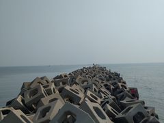 -东疆建设开发纪念公园