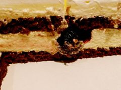 -皇家美孚(保定路店)