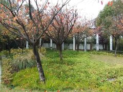 -汉中石门栈道风景区