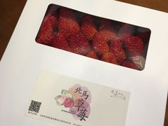 -大连北马山庄