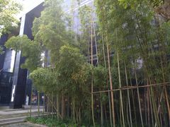-龙潭水乡