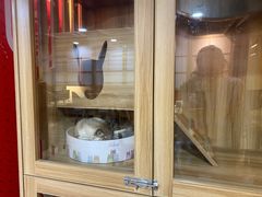 -白兔子密室(长寿路店)