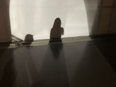 -龙美术馆西岸馆-停车场