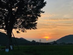 -风云岭森林公园