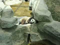 android_upload_pic-西安世博园