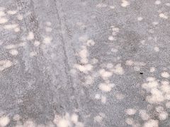-富乐山