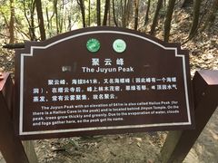 -缙云山景区