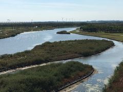 -春花秋色城市公园