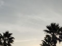 -亚龙湾国际玫瑰谷