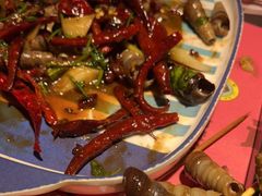 -寂寞的豆芽(龙泽路店)