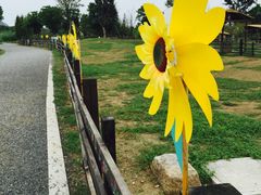 -田园东方蜜桃村的田野营地