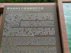 -黄海国家森林公园