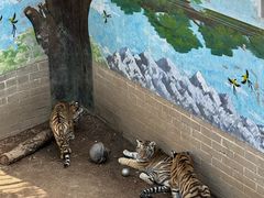 -西霞口神雕山野生动物世界