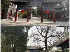 -莲池书院博物馆