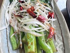 -鲁前海沿儿