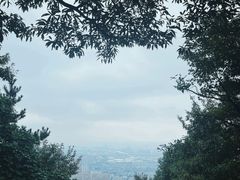-惠山国家森林公园