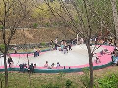 -西部长青自然儿童乐园