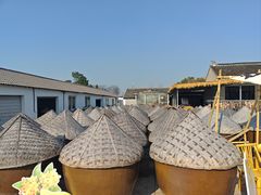 -苏州市吴中区光福窑上花果蜜饯厂