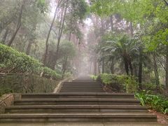 -铁山坪森林公园