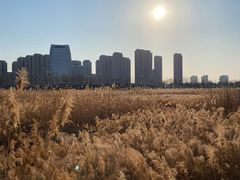 -保定东湖公园(莲池区)