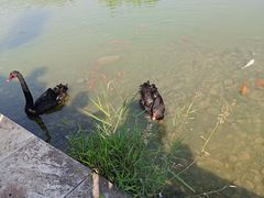 -河北省园博园