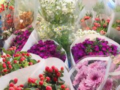 -循礼门鲜花花市(武汉循礼门店)