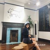 真的不知道是怎么火成这样的