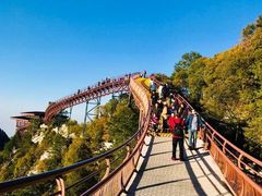 -少华山国家森林公园