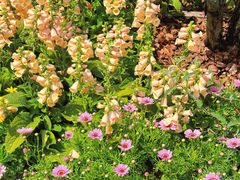 -人民公园(罗湖区)