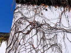 -青果巷历史文化街区