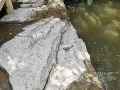 -云溪植物园
