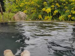 -七彩云南古滇温泉山庄