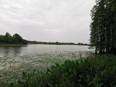 -东湖落雁景区