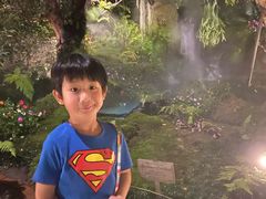 -Chom Cafe and Restaurant