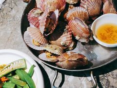 -前海沿·青岛菜(李沧万达店)